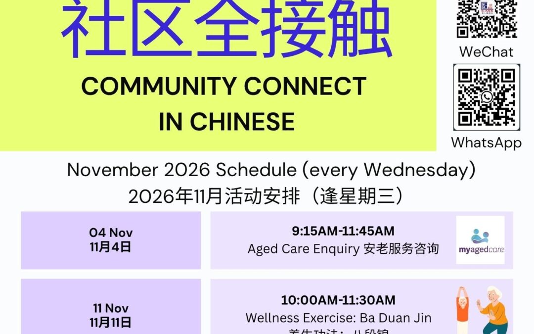 帕拉玛塔图书馆十一月免费社区活动